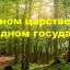 В Лесном царстве Заповедном государстве В Лесном царстве Заповедном государстве